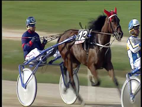 Trotto 26/10/2018 - 2ª corsa