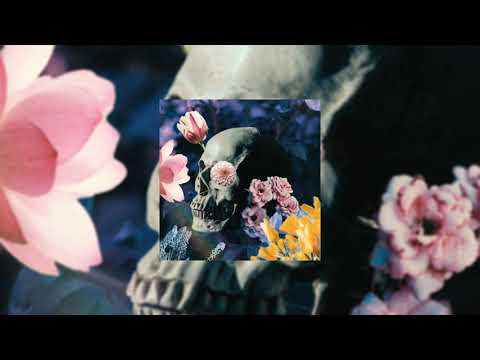 [FREE FOR PROFIT] blossom - Ufo361 x Future Type Beat