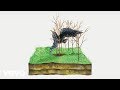 Vetusta Morla - Consejo de Sabios (Lyric Video)