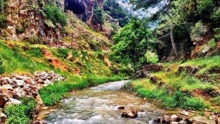 preview picture of video 'Lebanon is gorgeous, sunny, snowy, maddening, inspiring, irresistible... You have to watch this'