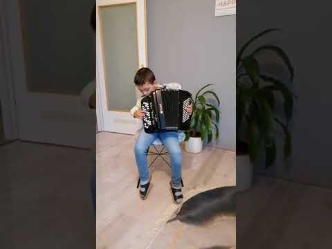 Nikola Arsić - Bolujem ja, boluješ ti (harmonika)