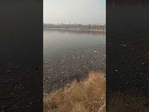 Աղբաորսիչ կայանը Հրազդան գետի աղտոտման պատճառ է դարձել