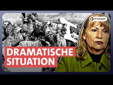 Vogelgrippe breitet sich in Sachsen aus | Sachsen-Politik-Podcast | MDR
