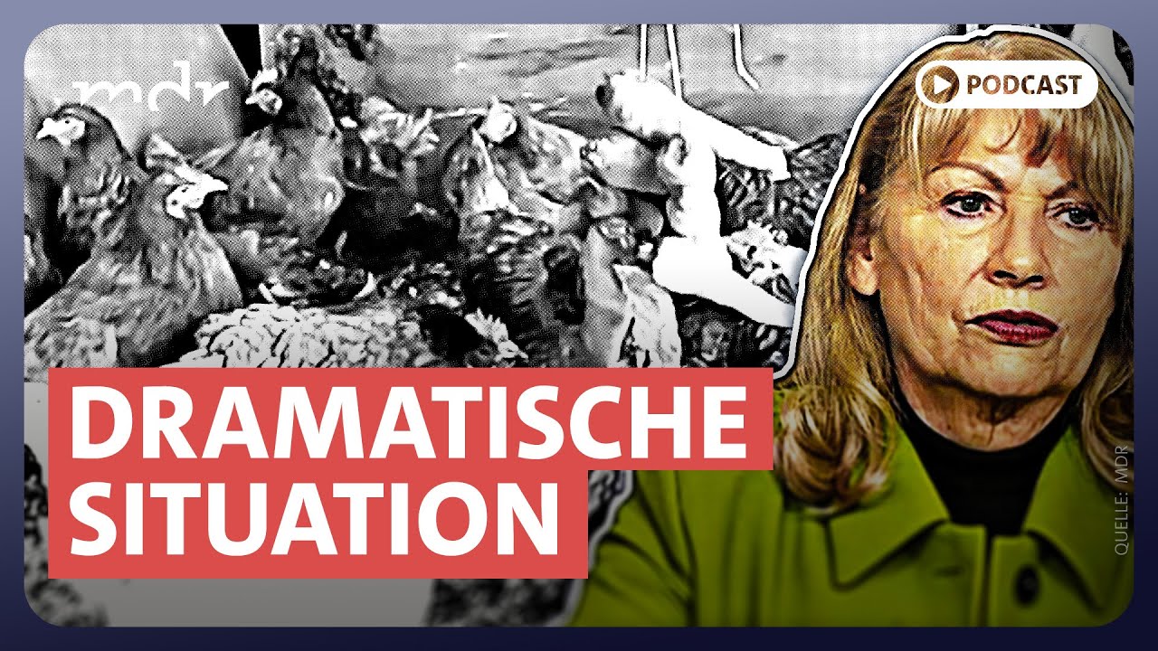 Vogelgrippe breitet sich in Sachsen aus | Sachsen-Politik-Podcast | MDR