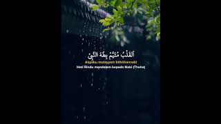Download lagu Sholawat Al Qolbu Mutayyam mp3