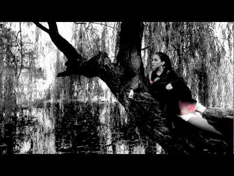 Who.is vs MDX - We.are Drive out (Jérôme Esse Bootleg MashUp 2012)[ Music Video]