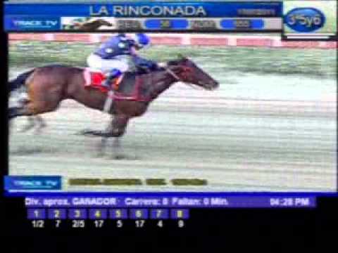 Domingo, 17 de Julio de 2011 - La Rinconada