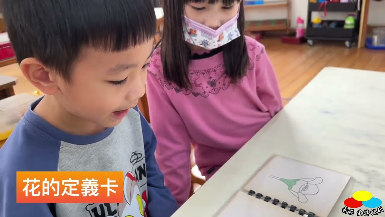 天王星班之認識動植物