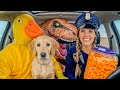 Police Steals Puppy from Rubber Ducky in Car Ride Chase!