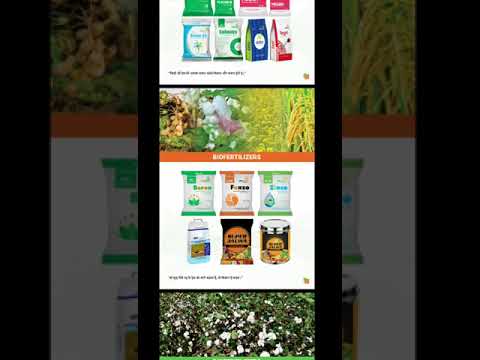 ZINC-EXTRA, Powder, 4 KG