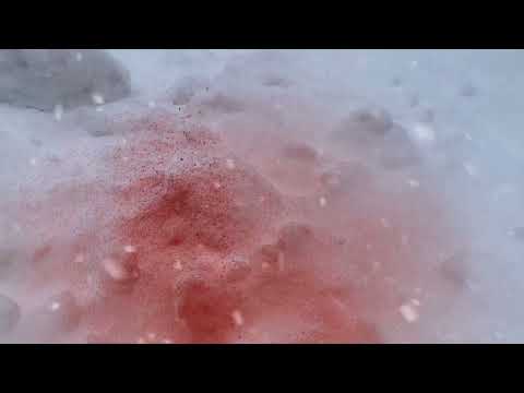 SnowBeast Blood Massacre (film trailer)