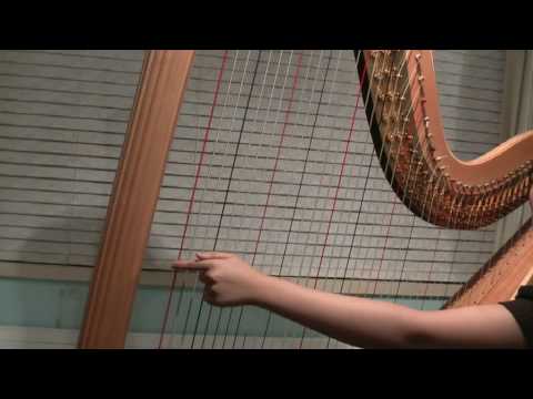 The Pedal Harp - Thunder Effect