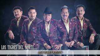LOS TIGRES DEL NORTE  -  LA SORPRESA  [Audio HD]