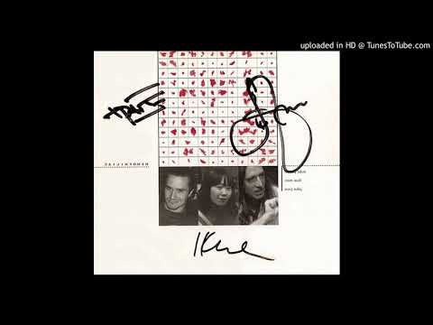 Mike Patton, Ikue Mori, John Zorn - the black radish