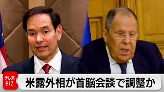 米露外相が電話会談  ウクライナ情勢めぐる米露首脳会談に向け調整か