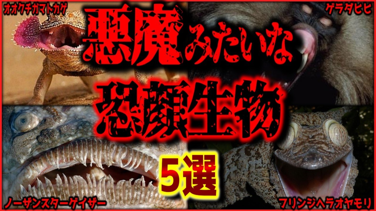 【閲覧注意】モンスターにしか見えない「顔」を持つ生物 5選【ゆっくり解説/作業用BGM/睡眠用/9割が知らない】