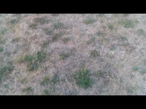 Les compétence de hamza au foot