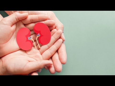 A mund të dhurohen organet e trupit pas vdekjes që të përfitojnë njerëzit?