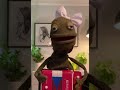 Puppet QuarantinCordion Ep 1
