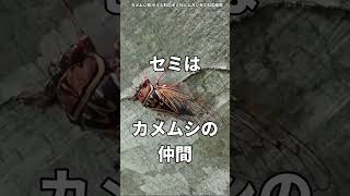 衝撃的な生き物雑学part1