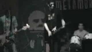 EVIDENCE - Fear (live)