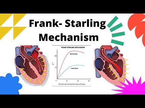 Frank Starling Mechanism | Circulatory System Physiology @medicineallinone1183