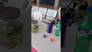 Download lagu Power Of Kangen Water 🌊🏖️#enagic #kangenwater mp3