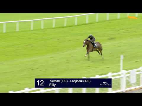 Awtaad (IRE) y Laajidaal (IRE)