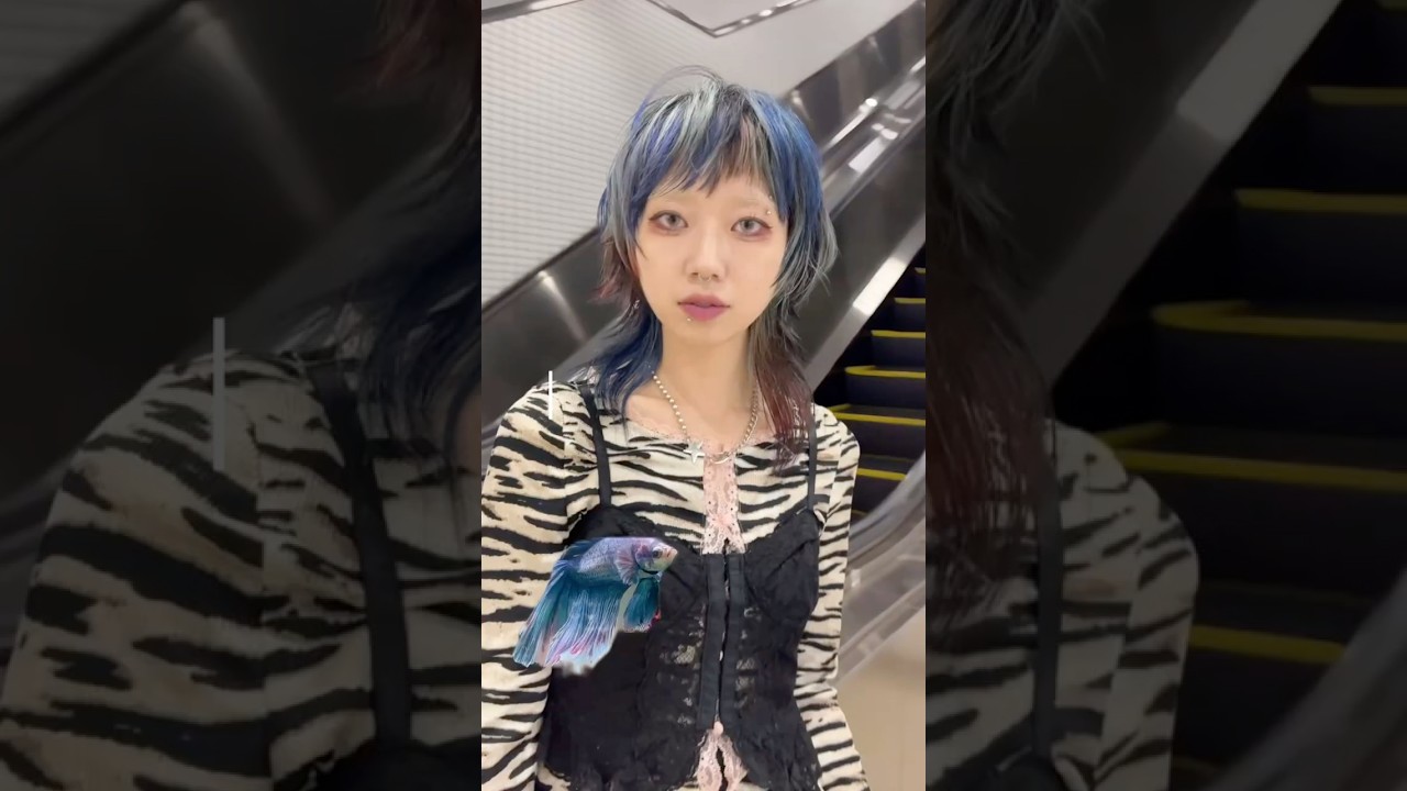 YouTube動画のサムネイル