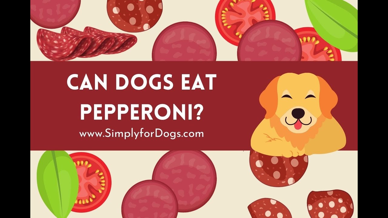 Watch video Can Dogs Eat Pepperoni Now Can Dogs Eat Pepperoni