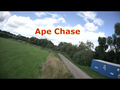 Alfie Ape Chase