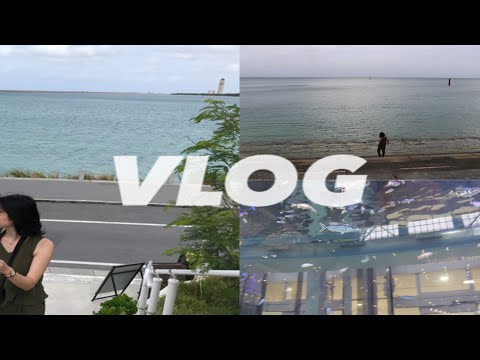 動画 Vlog 沖縄day2 3 Okinawa 一人暮らし 大学生 旅行 Gotoトラベル