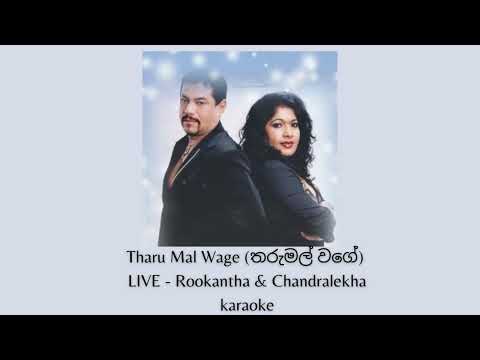 Rookantha&Chandralekha's Live Performance of "Tharu Mal Wage"