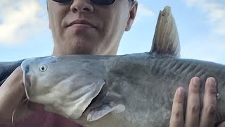 Carrasco Ranch is live catching Bluegill and Feeding the Huge Fish