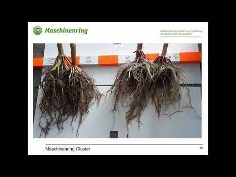 Maschinenring Feldtage - Versuchsinterpretation Teil 2