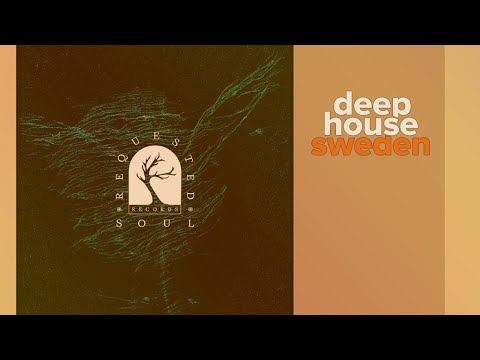 DHS Premiere Idem Nevi - Northern Lights