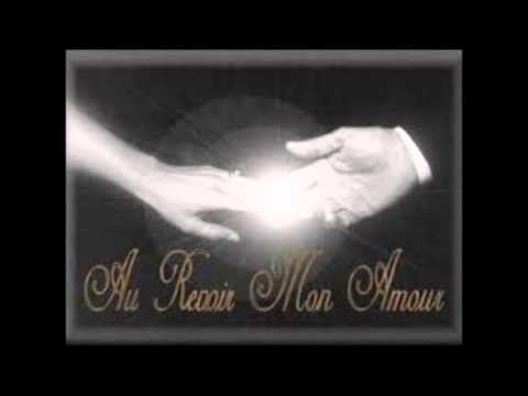 Au revoir mon amour (Dominique A Cover)