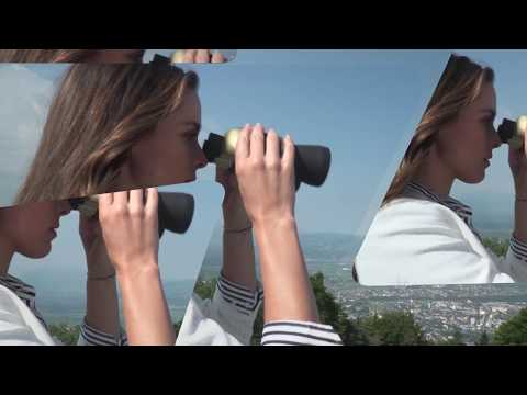 RTV Vorarlberg Aktuell - "Müro " die Seekuh