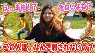 黒い半袖Tシャツでオオスズメバチに近づいても刺されない理由を解説！
