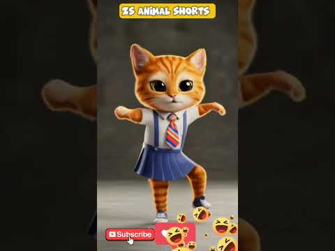 ZS 😻🐾 #Cutekitten #cat #lovecats #cats #catvideos #kittens #catlover #princesscat #kitten #catdance