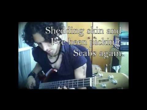 Tool Forty six and 2 - instrumental Cover by Dan Cohen