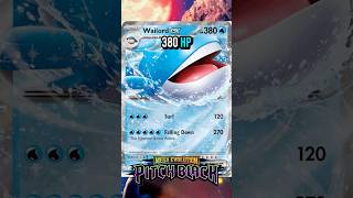 Wailord ex Decklist W/ Dewgong | Pitch Black | Mega Evolution | Pokemon TCG
