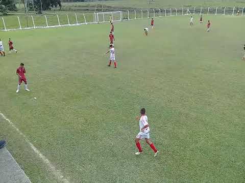 CDP X  Pequenos Leoninos/sub - 15 /Gravatal