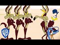 Looney Tunes How Many Coyotes Does It Take To Catch A Road Runner Wbkids​