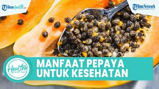 Manfaat Biji Pepaya yang Direbus Baik untuk Meningkatkan Kesehatan Tubuh, dari Palifenol & Flavonoid