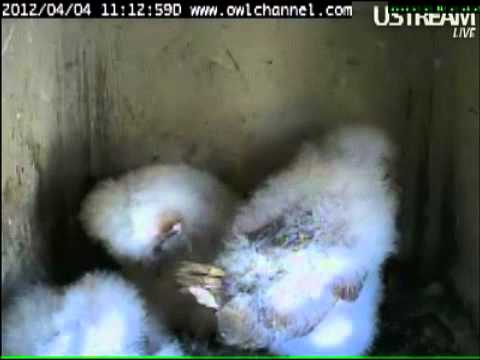 April 4 2012 11:11AM Wake Up Dee!