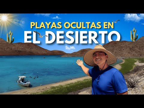3 HIDDEN BEACHES in the BAJA CALIFORNIA desert! 🌵The best of BAHÍA DE LOS ÁNGELES! 🇲🇽