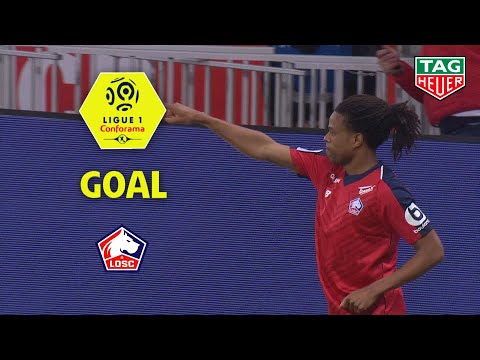 Goal Loïc REMY (51') / LOSC - Nîmes Olympique (5-0) (LOSC-NIMES) / 2018-19