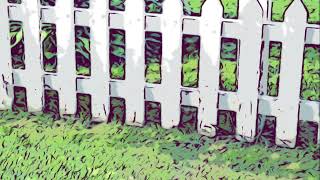 Jacky Jack White “White Picket Fence” (White/Staley) #2 Christian Country