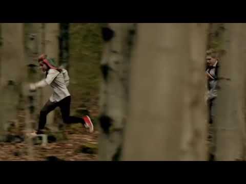 Wolfblood -  Animals